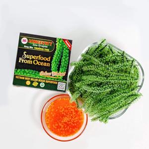 바다포도 120g(20gx6ea) 아마존 베트남 LONGEVITY 식자재마트 참치 유부 초밥 재료 우미부도