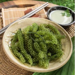 베트남 나트랑 바다포도 120g 푸꾸옥 다낭 냐짱 식자재마트 참치 유부 초밥 재료 아마존 베스트셀러 판매율1위 우미부도