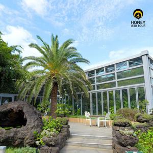 [★허니제주]제주도 3박4일, 항공+호텔3박+식사7회 199천원 부터