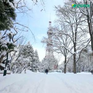 [★특집전]모두투어 시그니처 북해도 3박4일 노팁!3대게뷔페+5대특식, 온천호텔 2박 899천원부터!