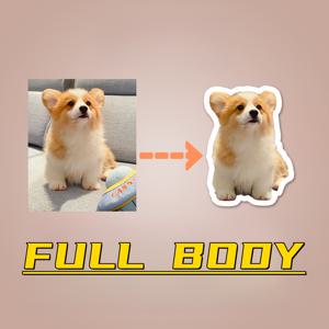 TEMU 개나 고양이 사진이 있는 개인화된 아크릴 애완동물 ID 태그, 개와 고양이용 목줄 액세서리, 애완동물 식별 | 세련된 애완동물 태그 | 배터리가 없는 투명 ID 태그