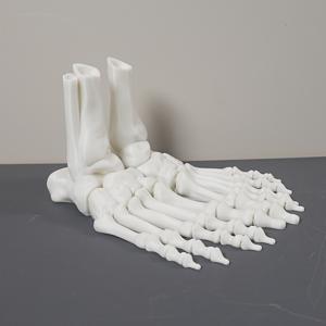 TEMU 실물과 같은 3D 프린팅 인간 발뒤꿈치 스켈레톤 모델 2개/1쌍 - 조인트가 있는 데스크탑 장식 및 공예 애호가를 위한 크리스마스, 할로윈 장식, 가을 홈 데코 수집용 피규어