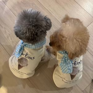 TEMU 베이지 & 레드 격자 무늬 강아지 옷 - 소형~중형견용 민소매 의류 (치와와, 포메라니안, 시츄, 프렌치 불독) - 사계절 가벼운 착용감, 쉬운 슬립온 디자인, 사진 촬영 및 캐주얼 패션, 내구성 있는 스티칭, 애완동물 패션