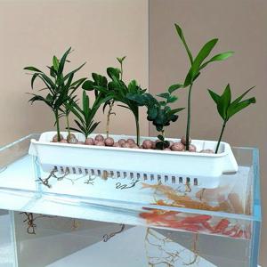 TEMU 1/2개 수경재배 바구니 어항용 물풀 컵 벽걸이 물풀 컵 재배 컵