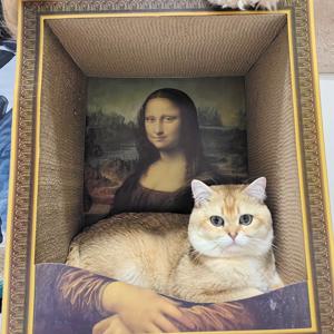 TEMU 빈티지 오일 페인팅 고양이 집 및 긁는 패드 콤보 - 예술적인 애완 동물 가구, 장식 프레임, 모든 계절 크래프트 종이 쉘터, 고양이 집 및 긁는 패드