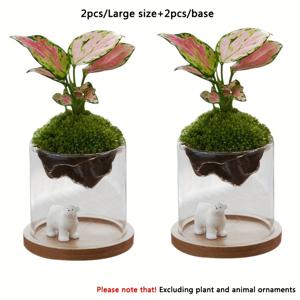 TEMU 2개 창의적인 유리 이끼 화병 - 내구성 있는 베이스가 있는 두꺼운 보로실리케이트 방수/방풍 실내외용 플랜터, 미니 가든, 다육식물 및 테라리움을 위한 광택이 나는 원형 디자인