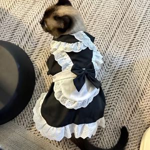 TEMU 애완동물 메이드 의상 - 개와 고양이를 위한 귀여운 레이스 트림 드레스와 리본 장식, 할로윈 코스튬 및 일상 착용, 모든 사이즈 가능 - 애완동물 애호가를 위한 완벽한 선물, 폴리에스터, 버튼 착용 방법, 사계절 편안함, 애완동물 코스튬 | 장난기 있는 애완동물 의상 | 내구성 있는 애완동물 착용