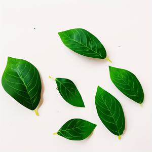 TEMU 6pcs 빈티지 스타일의 자연 헤어 액세서리 세트 - 스타일리시한 업도, 브레드, 반 업 헤어 스타일을 위한 플라스틱 잎 헤어핀 및 클립 - 봄과 여름, 무대 공연, 숲 주제 이벤트, 무대 헤어 데코 | 빈티지 헤어 액세서리 | 플라스틱 헤어핀, 헤어 액세서리 세트