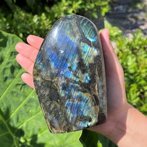 TEMU 고 플래시 프리 스탠딩 디스플레이 크기( 