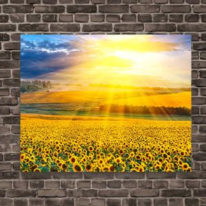 TEMU 1개 밭 캔버스 벽 아트 - 수직 빈티지 스타일 방수 나무 프레임, HD 인쇄 생동감 넘치는 & 드라마틱한 하늘 풍경, 러스틱 홈 데코, 침실, 거실, 주방, 사무실용, 2D 평면, 방 장식에 완벽한 작품