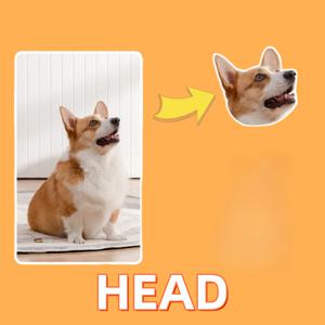 TEMU 맞춤형 반려동물 사진 냉장고 자석 - 사진과 발바닥/하트 컷아웃으로 만든 애완동물을 사랑하는 이를 위한 기념품, 내구성 있는 아크릴 수제작 (크리스마스, 생일, 어머니날) - 잃어버린 이들을 위한 감성적인 선물, 고화질 프린팅