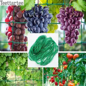 TEMU 한 포장, 식물 등반 라탄 그물 녹색 가드닝 격자 넷 오이 걸이 멜론 등반 넷 스탠드 국화 바람 저항 방수 넷 대형 창고 식물 정원 등반 라탄 그물