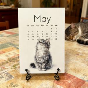 TEMU 2026년 메탈 스탠드 데스크 캘린더 - 12가지 독특한 월별 일러스트, 귀여운 고양이 디자인, 날짜 및 요일 표시 월 캘린더, 가정 및 사무실 장식, 홈 데코, 재미있는 디자인, 튼튼한 구조, 홈 데코레이터, 책상 달력, 탁상달력, 탁상달력, 영구탁상달력, 넘기는 달력, 달력 오브제, 롤린더달력, 달력 탁상용