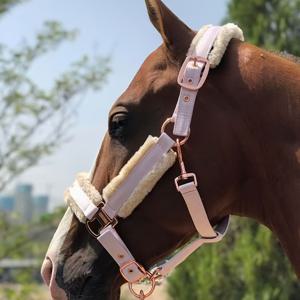 TEMU TGW 라이딩 탈착식 말걸이 - 조절 가능한 나일론 브리들 메탈릭 버클 포함, 레드/블루/블랙, 모든 말 품종에 적합한 내구성 및 편안한 디자인의 훈련용 승마 장비, 안전한 착용 스트랩