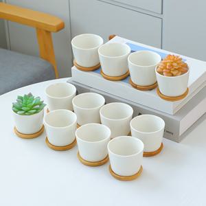 TEMU 12개 세트 2.48인치 화이트 라운드 심플 미니 식물 화분 대나무 받침대 포함