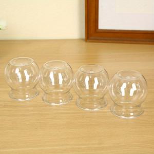 TEMU 투명한 수경식 화분과 모종 화분 - 투명한 플라스틱 데스크탑 랜드스케이프 생태학적 병, 잔디 머리 인형 심기, 창의적인 가정 장식, 데스크탑 장식 | 화분 | 투명한 플라스틱 화분