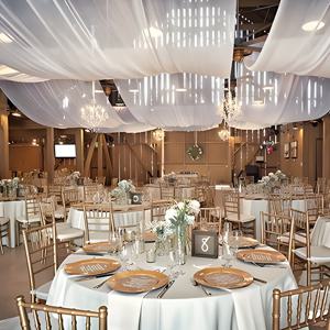 TEMU 2D 도어 배너 630인치 대형 셔폰 웨딩 아치 커튼 - 배경 천, 신부 샤워, 생일, 기념일 등에 적합 - 실내/실외 장식