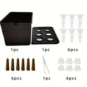 TEMU 포기하지 마세요. 성공은 가까이에 있습니다.