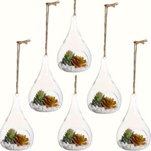 TEMU 2/3/4/5/6pcs 걸이형 유리 테라리움 용기 글로브 공기 화분 테라리움 꽃병 - 공기 식물 거치대, 즙이 많은 화분, 티 라이트 캔들 행거, 홈 파티 웨딩 가든 DIY 디자인
