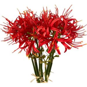 TEMU [3개 인공 비 오키드 꽃] 3개 인공 비 오키드 거미 백합, 실감 나는 긴 줄기 리코리스 전구, 원단 홈 데코, 패널 및 매트 배치, 결혼식, 약혼, 다양한 방 유형, 사진 촬영, 호텔 정원 장식