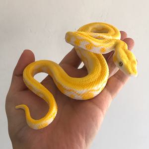 TEMU 리얼리스틱 화이트 피스톤 모델 - 손으로 그린 PVC 동물 복제품, 섬세한 비늘 & 근육질, 생생한 노랑 & 흰색 디자인, 교육용 디스플레이, 홈 데코 또는 수집품 선물, 상세한 근육질, 내구성 있는 컬렉터블 아이템