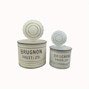 TEMU 빈티지 메탈 라운드 캔 형태 앤틱 화이트 페인트 가든 플랜터 - 프렌치 라벨 스타일 장식 (브루그만 프루트) 배수구 포함, 야외용 허브, 다육식물, 식물용 화분 - 러스틱 팜하우스 통 플랜터