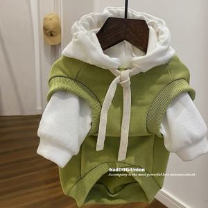 TEMU 작은 개와 고양이용 아늑한 녹색 후드 - 부드러운 플리스 안감이 있는 흰색 끈이 있는 풀오버, 기계 세탁 가능, 포메라니안, 비숑, 푸들 등에 적합 - 가을과 겨울에 이상적, 개 후드, 애완 동물 겨울 옷, 재미있는 애완 동물 디자인, 내구성 있는 애완 동물 의류