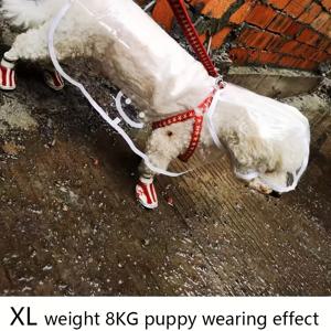 TEMU 작은 크기부터 중간 크기까지의 견종을 위한 투명한 방수 개 비누 코트 - PVC 전면 보호, 버튼 업 디자인, 통기 구멍, 테디 & 비치 프리스, 비오는 날 산책용 장비, 개 비누 코트, 투명한 시야 비누 코트