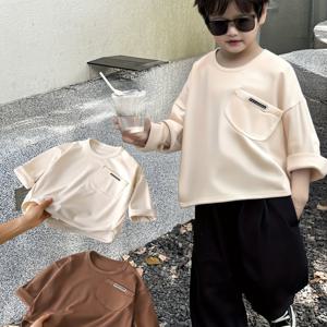 TEMU 투피스 남아 솔리드 컬러 싱글 탑, 봄/가을 신상 남아 루즈핏 긴팔 플리스 탑, 라운드넥 풀오버 스웨트셔츠, 캐주얼, 패셔너블, 귀여운, 프린트, 자수, 다용도 가을/겨울 따뜻한 남아용 탑