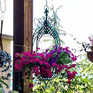 TEMU 벽걸이 행잉화분 테라스 정원용 걸이형 꽃바구니 베란다 행잉 벽걸이화분걸이 화분진열대