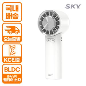 TEMU 스카이 윈드 W11 펠티어 급속냉각 핸디 미니 USB C타입 휴대용 손선풍기