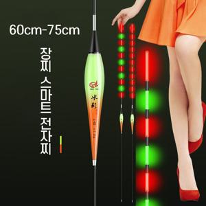 TEMU 60cm-75cm 장찌 변색 스마트 전자찌 장대 낚시 야광 민물, L-06 3.4g 60cm, 2개