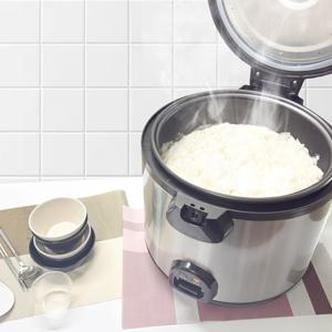 TEMU 대웅 30인용 대형 업소용밥솥 전기 보온밥솥 DW-R3310