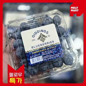 TEMU 4팩 알짜만 골라낸 알맹이가 큰 생 블루베리 가락시장 직배송 고품질 수입과일 Blueberry 택포