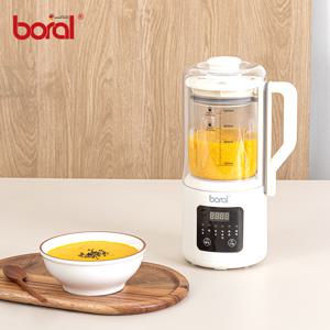 TEMU 보랄 대용량 글라스 두유 제조기