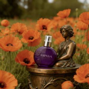 TEMU 인기 남성 향수 우디향수 인기 고평가 향수 추천