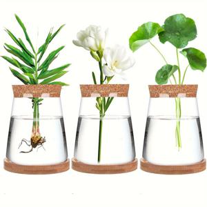 TEMU 2개/3개 식물 번식용 화분 물 , 뚜껑과 나무 스탠드가 있는 유리 화병, 식물 절단을 위한 테라리움 식물 번식 용기, 수경법 식물 재배용 정원 및 홈 오피스 장식|화분받침대