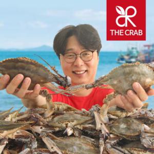 더꽃게 겨울 체철해산물 꽃게/오징어/가리비/방어/숭어/밀복/홍합/맛조개