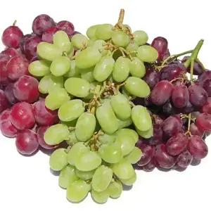 [거북농산]사파이어/거봉/크림슨/청포도 3kg -옵션선택