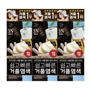 미쟝센 쉽고빠른 거품 염색약 3N 흑갈색 3개