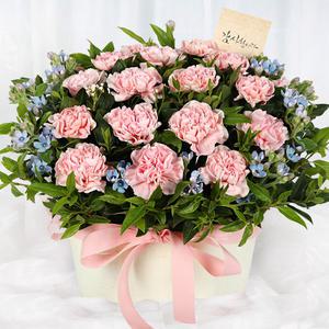 당일 꽃배달 핑크 카네이션 꽃바구니 생화 A1737