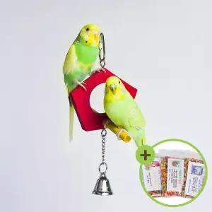 창문을 마주보며 소형 앵무새 장난감 횃대 잉꼬 횟대