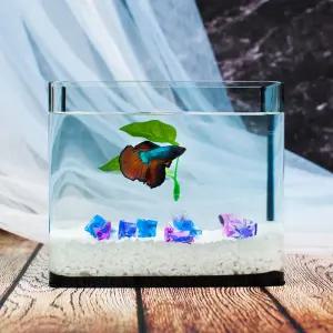 베타키우기 미니 어항세트(소) 풀세팅 스타터세트