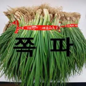쪽파 보성 흙쪽파 1단 (1.5kg 내외) 야채맘