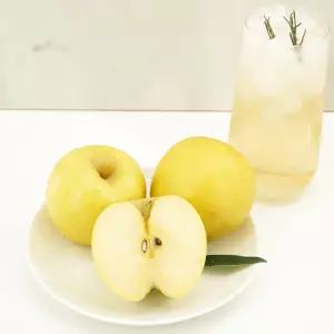 주스용 시나노골드 사과 실중량 10kg 랜덤과