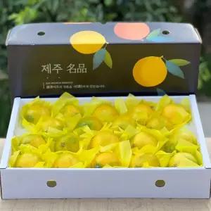 당도높은 제주 한라봉 천혜향 레드향 황금향 카라향 가정용 3kg 과일 선물세트