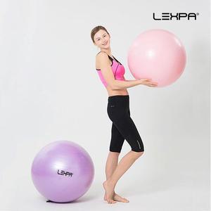 [렉스파] YH-08 65cm  짐볼 피트니스볼