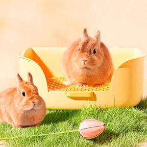 카르노 튤립 토끼 배변판 (WJ-35) /토끼화장실