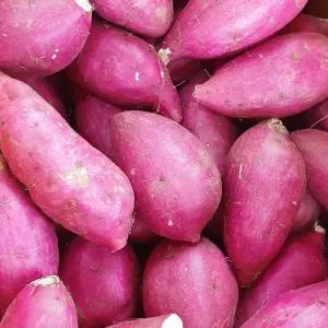 [해남미소] 시골상점 25년산 비세척 호박고구마(호풍미) 3kg