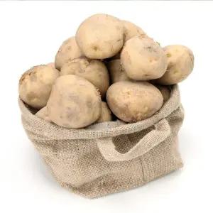 포슬포슬 햇 수미 감자 햇감자 10kg 대